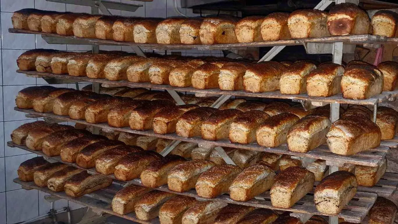 Bread baked at Złota Woda