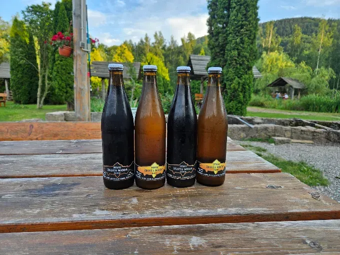 Złota Woda beer